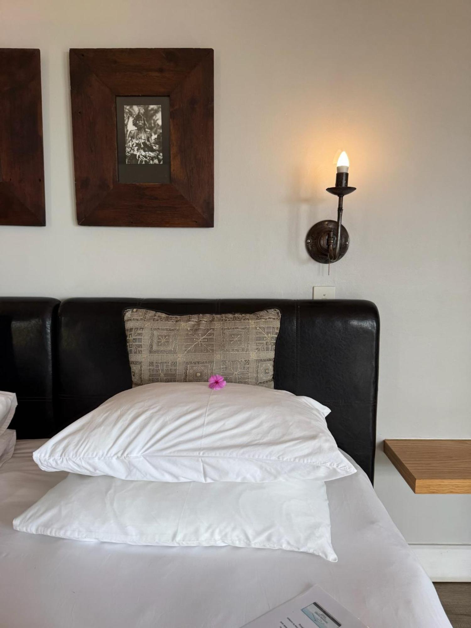 Dolphin Dunes Guesthouse Уилдърнес Екстериор снимка